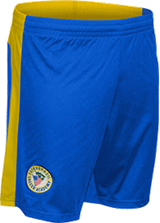  TetraBrazil SANTOS Shorts